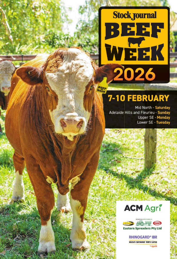Beef Week | Stock Journal | SA