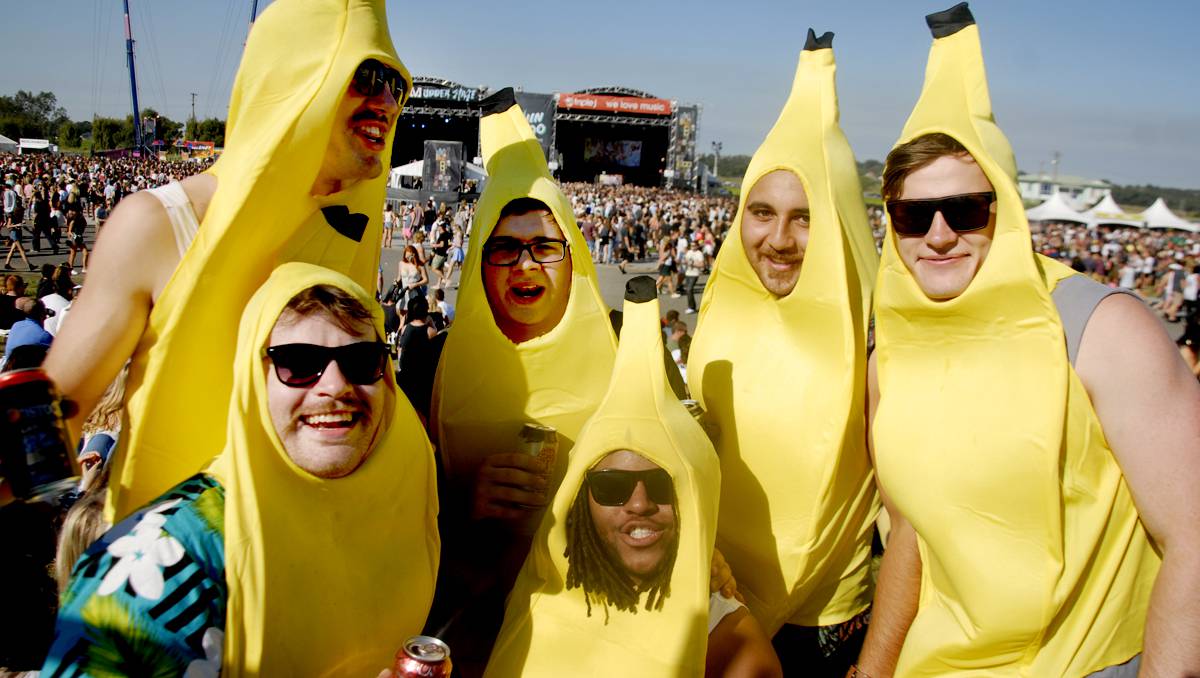 Groovin The Moo locks in 2014 date The Maitland Mercury Maitland, NSW